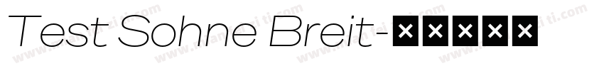 Test Sohne Breit字体转换